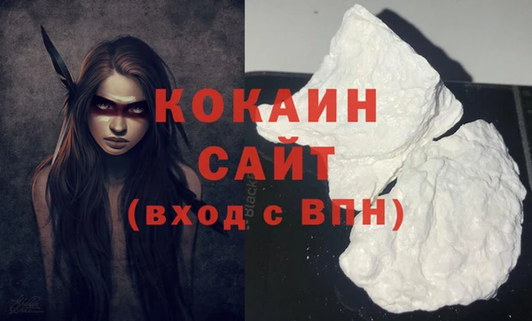 СК Покачи